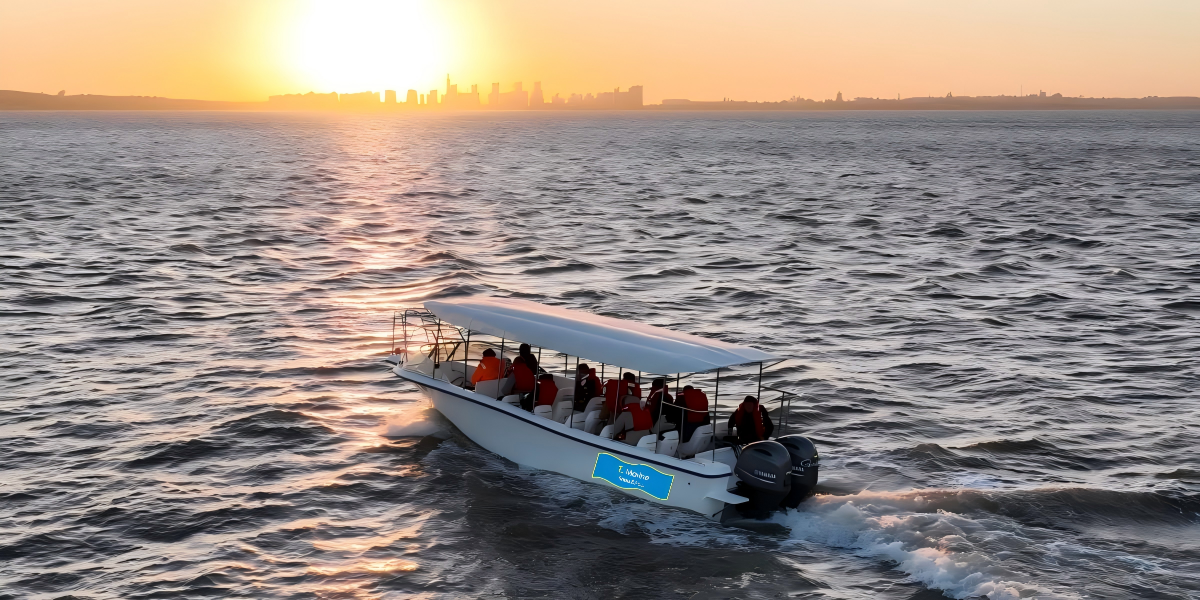 Times Marine 19.8m veselglas passasiersboot 